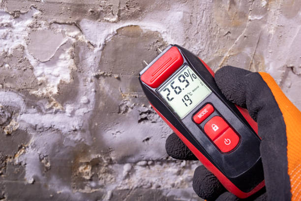 Best White Mold Remediation in Hopelawn, NJ