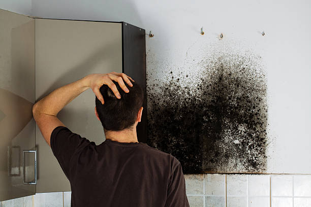Best Mold Remediation for Schools in Hopelawn, NJ